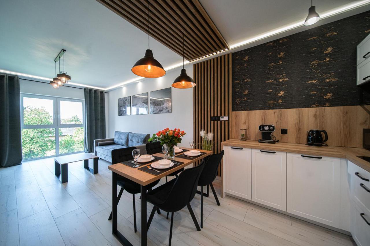 Apartament Duzy Staw Apartment Jelenia Gora Ngoại thất bức ảnh