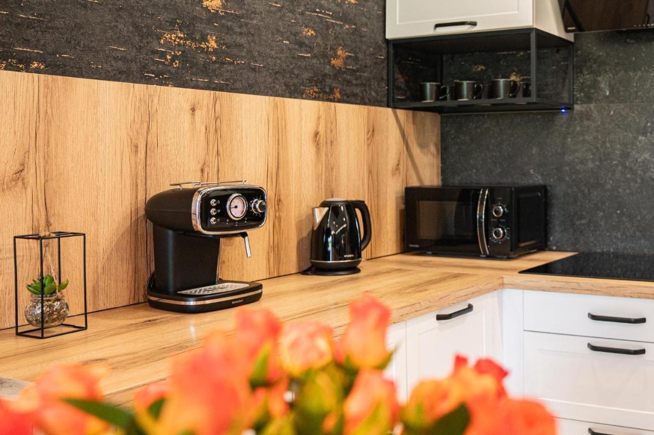 Apartament Duzy Staw Apartment Jelenia Gora Ngoại thất bức ảnh