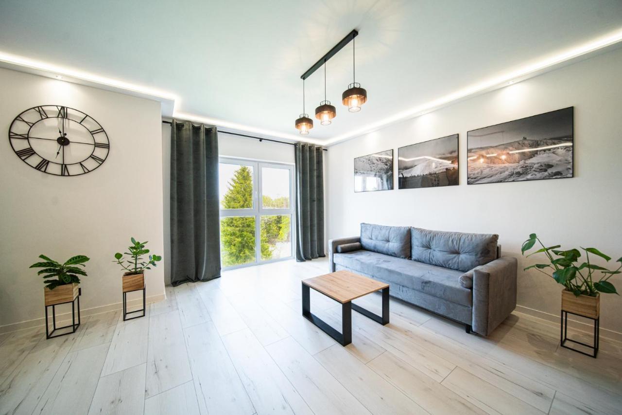 Apartament Duzy Staw Apartment Jelenia Gora Ngoại thất bức ảnh